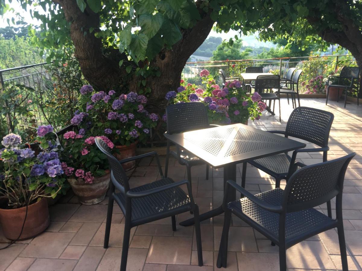 La Casa Sul Golfo Bed & Breakfast Ancona Dış mekan fotoğraf